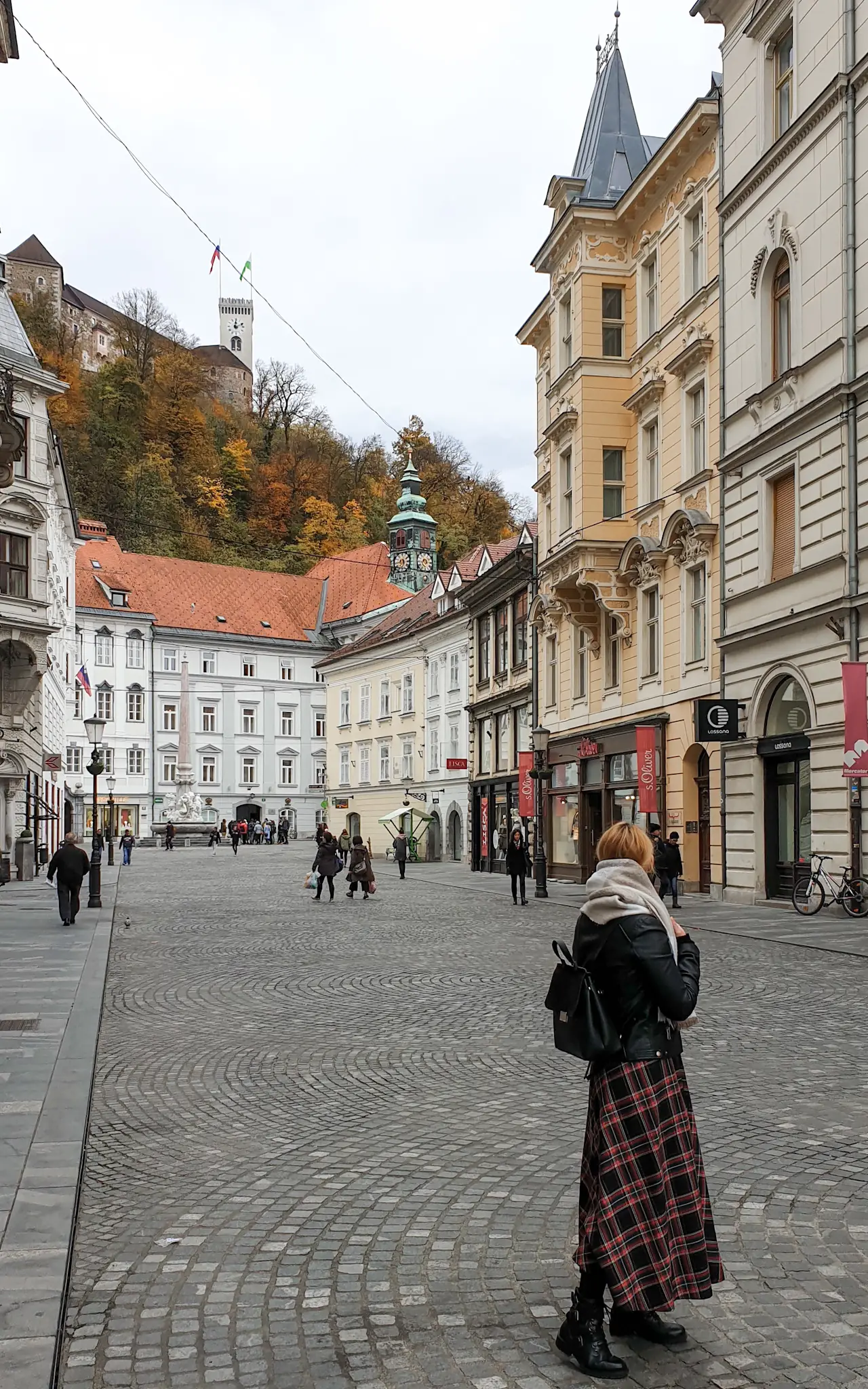 Ljubljana grad