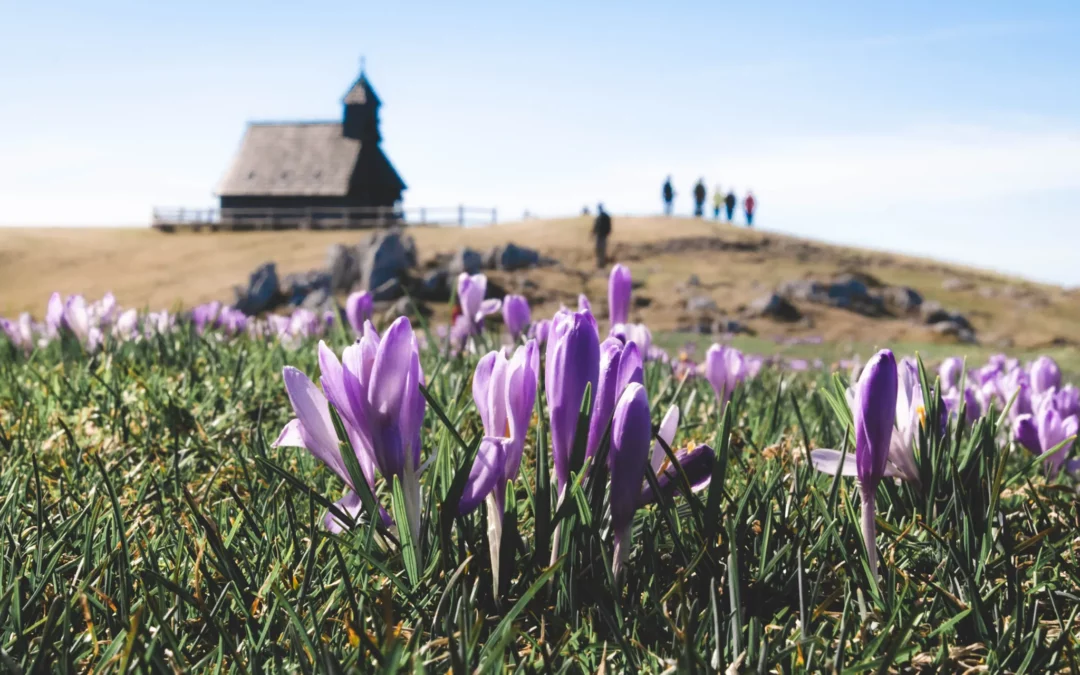 Slovenija – Uzduž i popreko