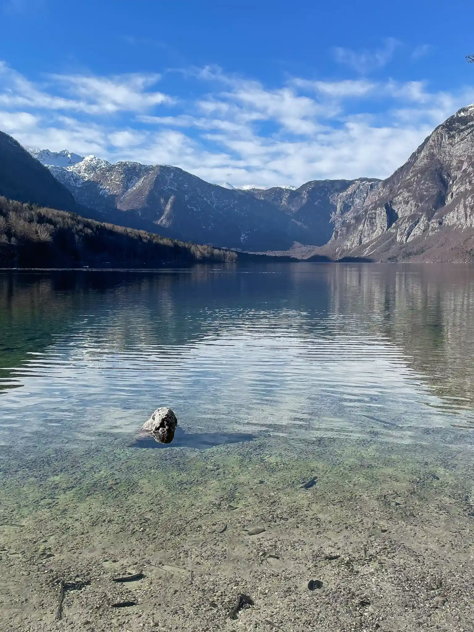 jezera slovenije - Bohinj