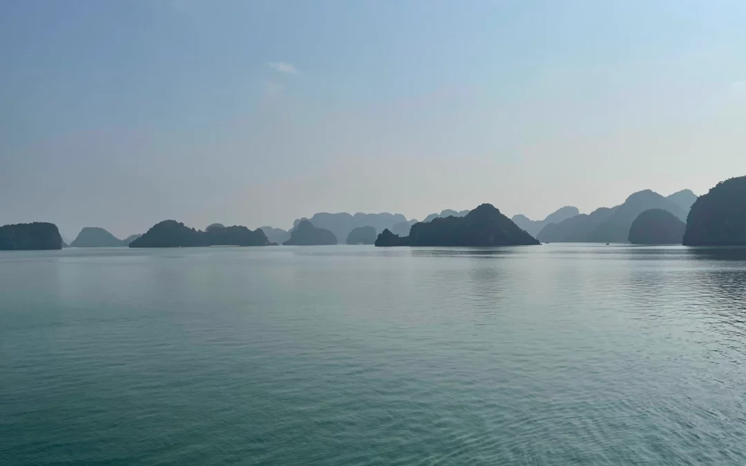 How to survive and enjoy Vietnam